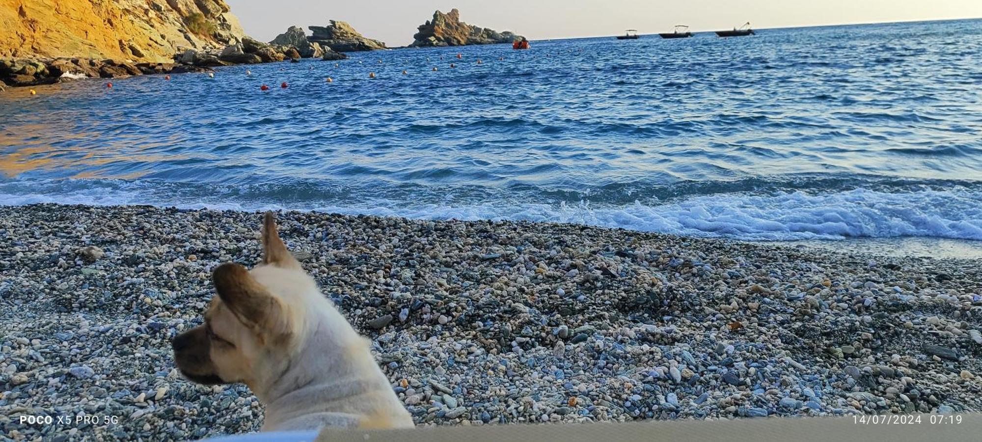 Mades Magic Place Agia Pelagia  Exterior foto